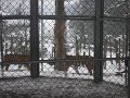 13.02.2012 Walterzoo 004